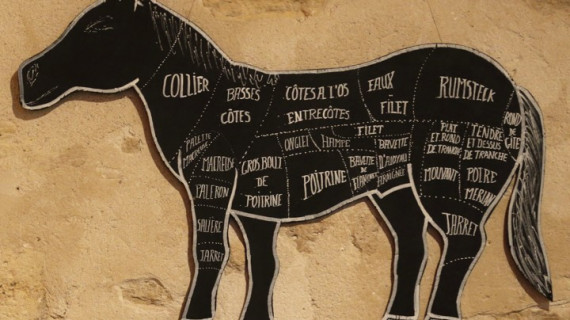 Перспективи и безопасност при консумацията на конско месо