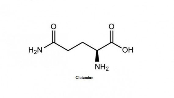 Л-Глутамин - Ползи и употреба