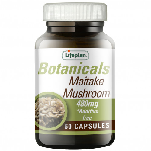 Maitake Mushroom 1