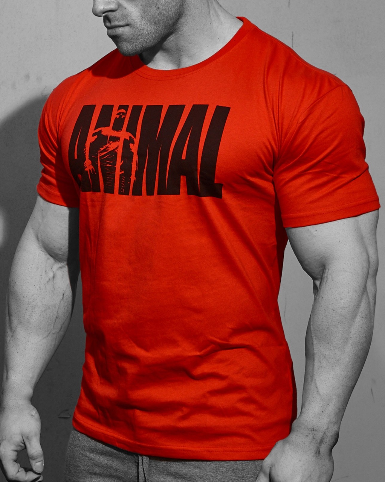 Animal Iconic T-Shirt Red 