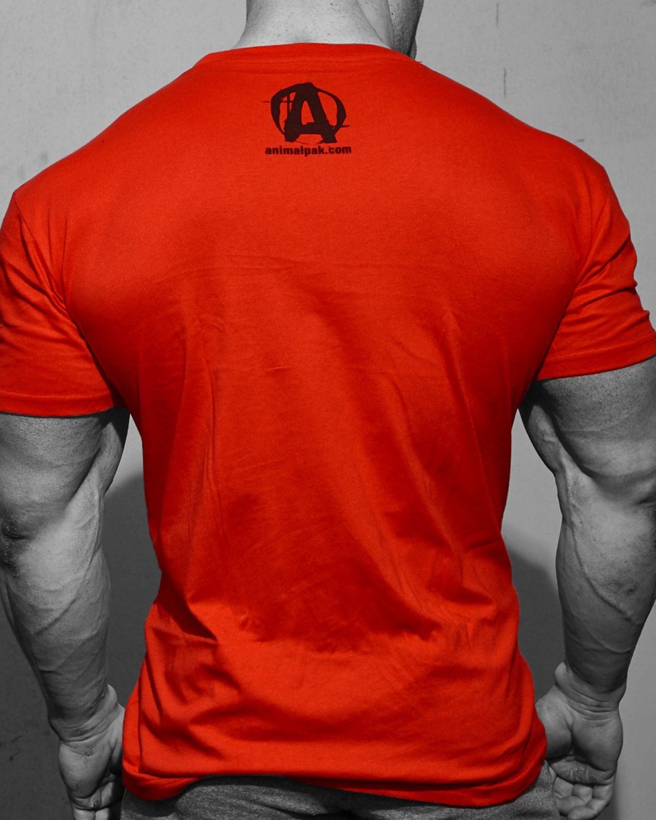 Animal Iconic T-Shirt Red 