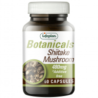 Shiitake Mushroom / Шийтаке